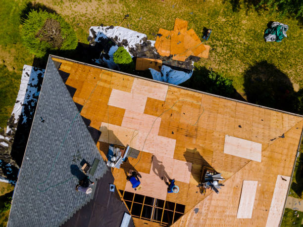 Best Roof Gutter Cleaning  in Fort Valley, AZ